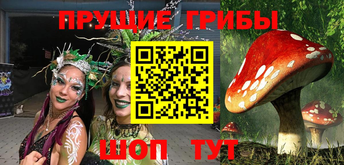 Псилоцибиновые грибы GOLDEN TEACHER Семёнов